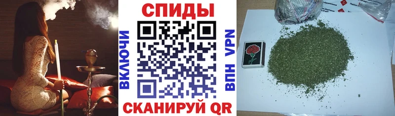Бутират буратино  Купить где  Кинешма 