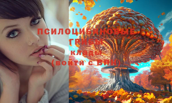 MDMA Гусев