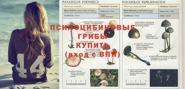 тгк Гусиноозёрск