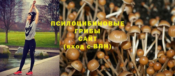 твердый Гусь-Хрустальный