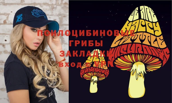 MDMA Гусев