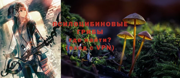 твердый Гусь-Хрустальный